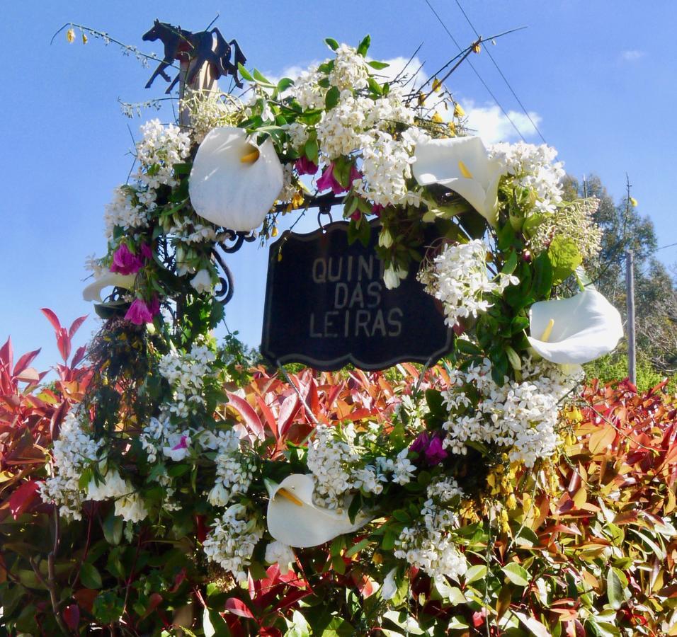 Quinta Das Leiras - Rubiaes ปาเรเจส เจ โครา ภายนอก รูปภาพ